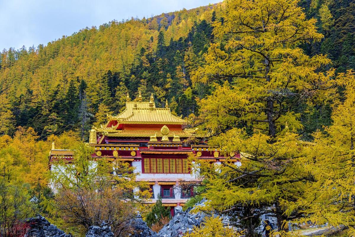 国庆节旅游图_国庆最佳旅行地_喀纳斯秋色攻略