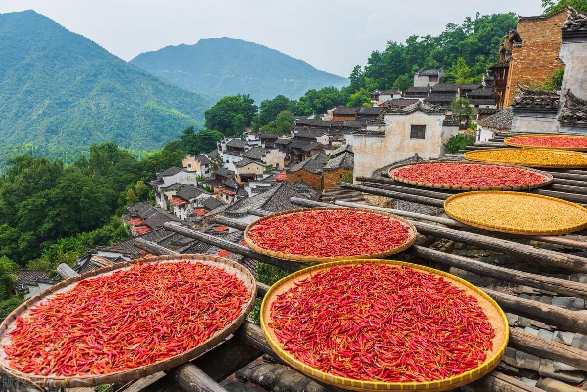 国庆最佳旅行地_喀纳斯秋色攻略_国庆节旅游图