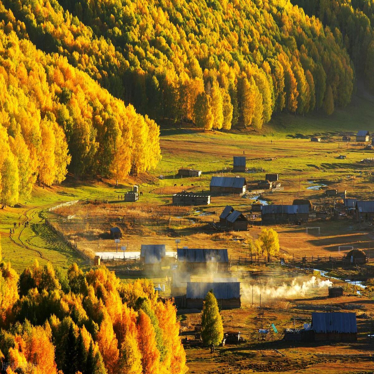 国庆最佳旅行地_国庆节旅游图_喀纳斯秋色攻略