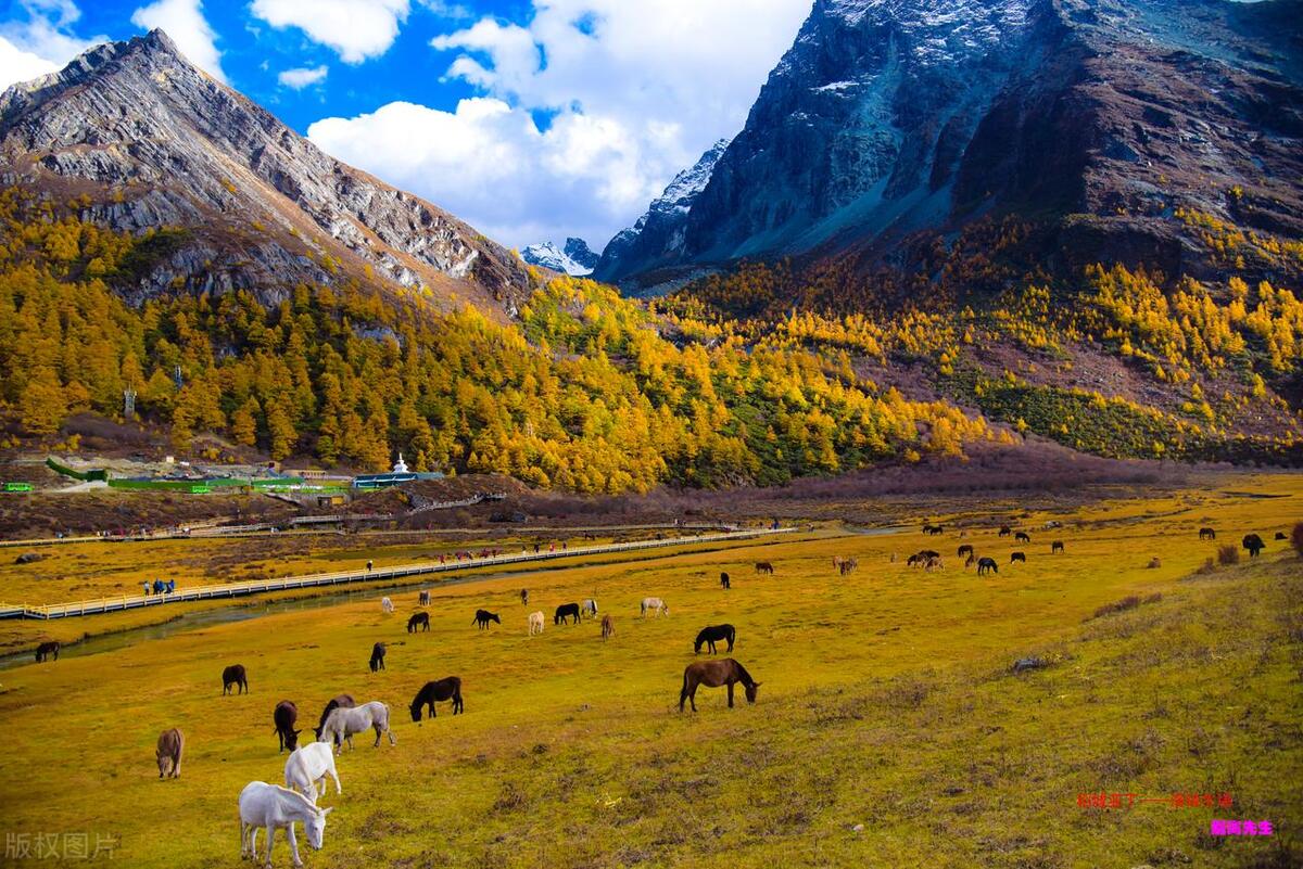 国庆最佳旅行地_国庆节旅游图_喀纳斯秋色攻略