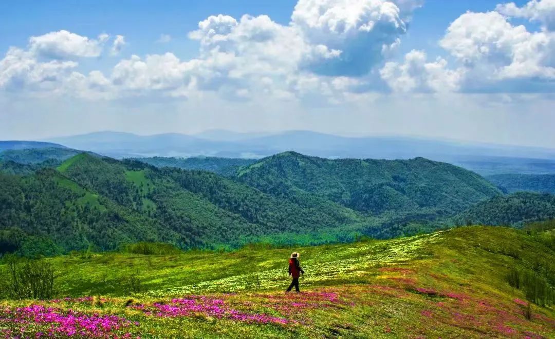 国庆白山旅游线路_长白山一日游推荐_国庆节旅游图