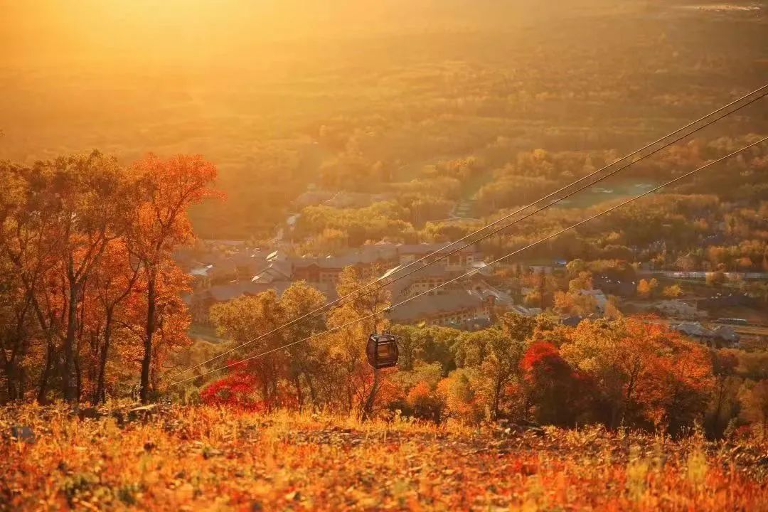 长白山一日游推荐_国庆节旅游图_国庆白山旅游线路