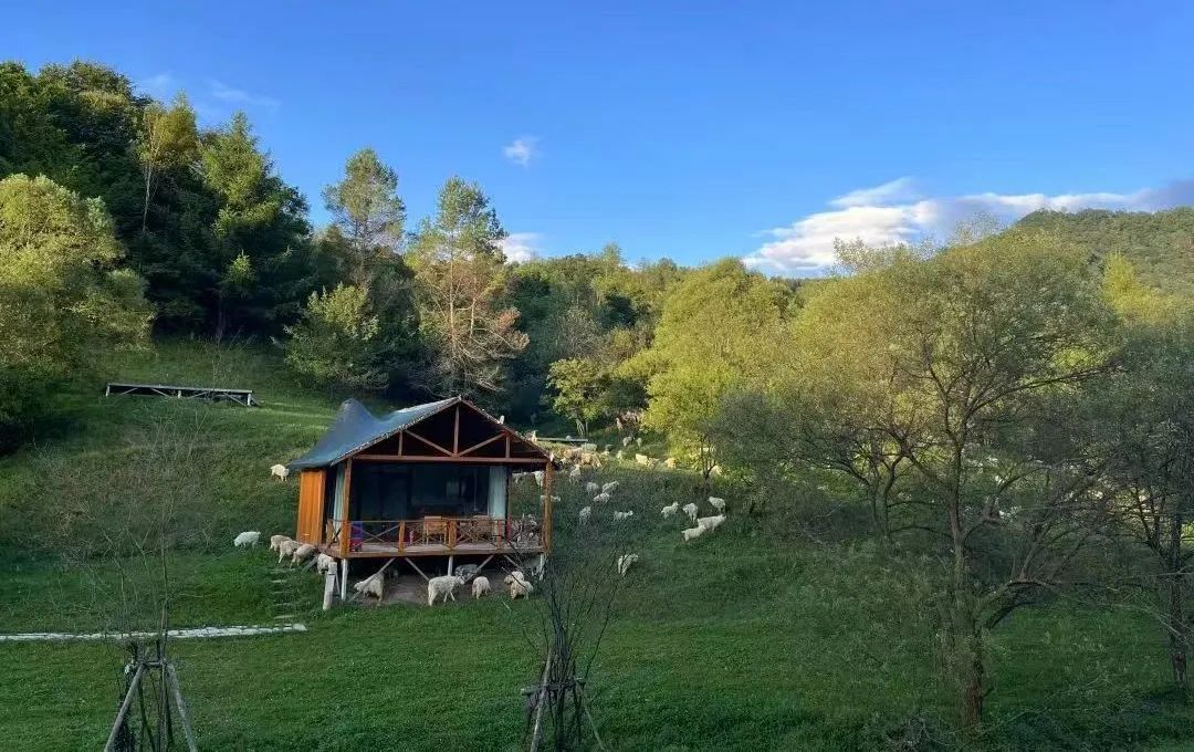 国庆节旅游图_长白山一日游推荐_国庆白山旅游线路