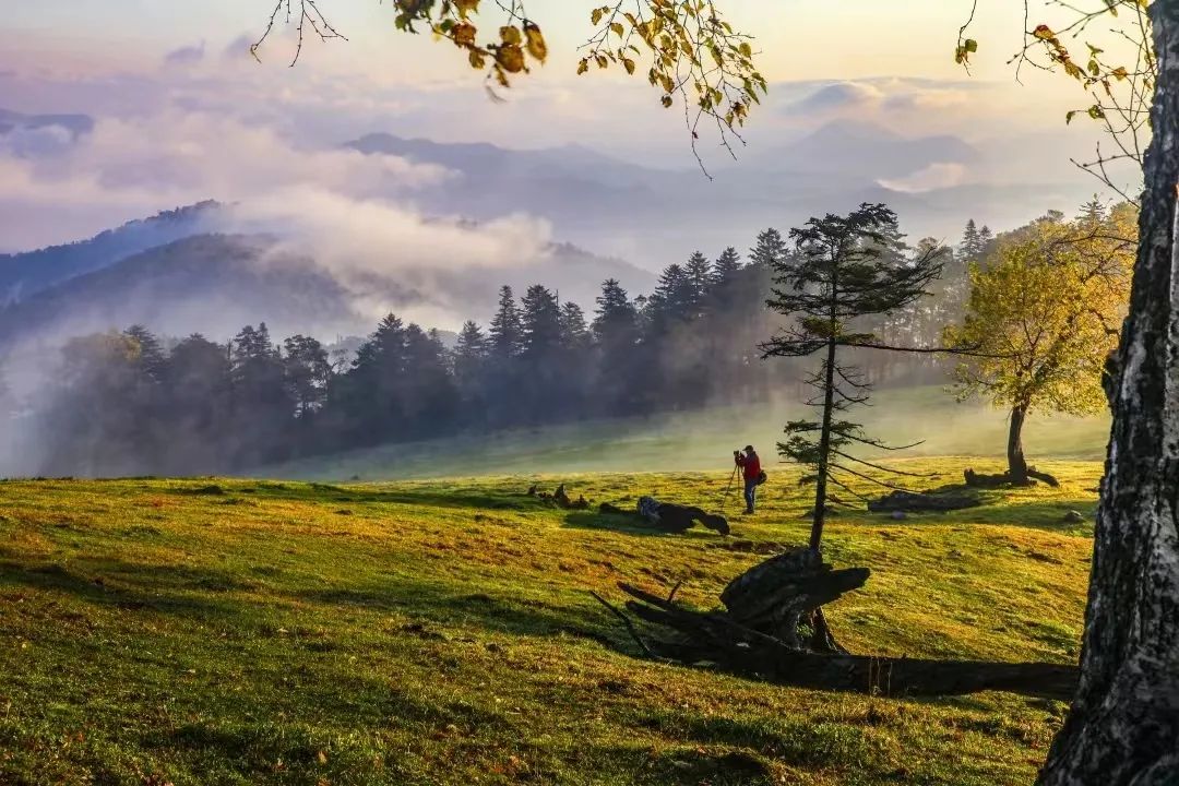 国庆节旅游图_长白山一日游推荐_国庆白山旅游线路