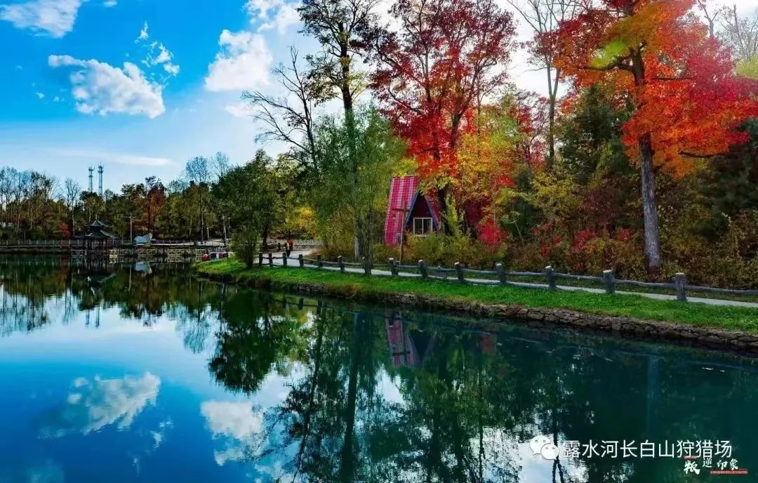 国庆白山旅游线路_国庆节旅游图_长白山一日游推荐